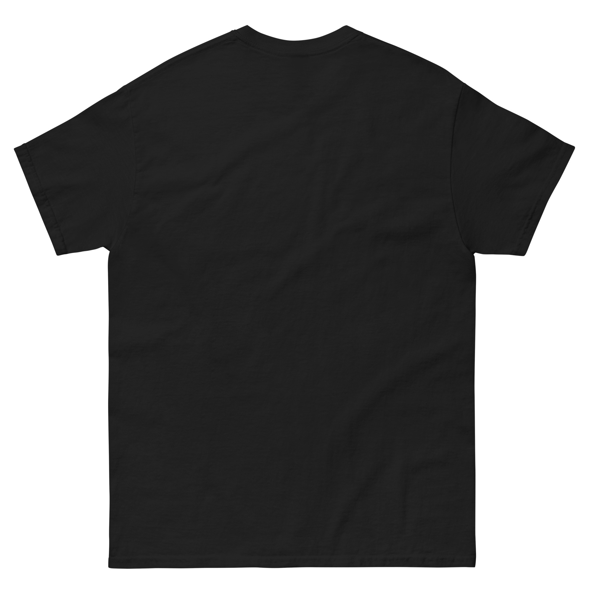 mens-classic-tee-black-back-6630b6f887f32.jpg